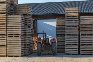 Caisses-palettes en bois empilées devant un hangar agricole