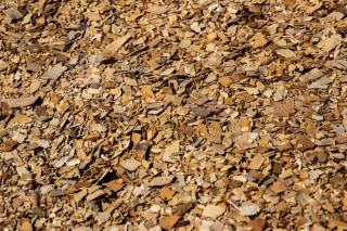 Copeaux de bois issus du broyage