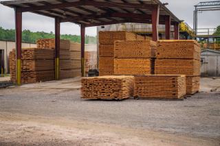Bois de sciage empilé sous un hangar de séchage